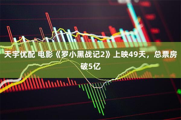 天宇优配 电影《罗小黑战记2》上映49天，总票房破5亿