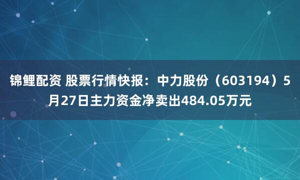锦鲤配资 股票行情快报：中力股份（603194）5月27日主力资金净卖出484.05万元