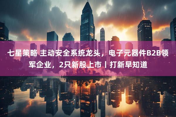 七星策略 主动安全系统龙头，电子元器件B2B领军企业，2只新股上市丨打新早知道