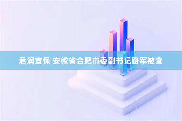 君润宜保 安徽省合肥市委副书记路军被查