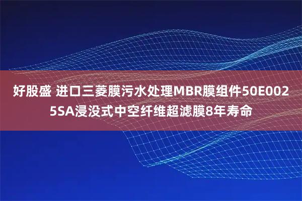 好股盛 进口三菱膜污水处理MBR膜组件50E0025SA浸没式中空纤维超滤膜8年寿命