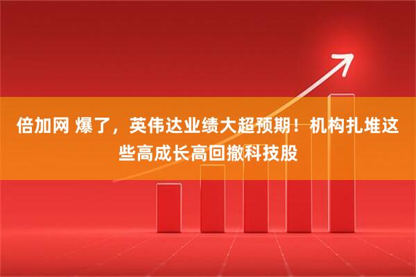 倍加网 爆了，英伟达业绩大超预期！机构扎堆这些高成长高回撤科技股